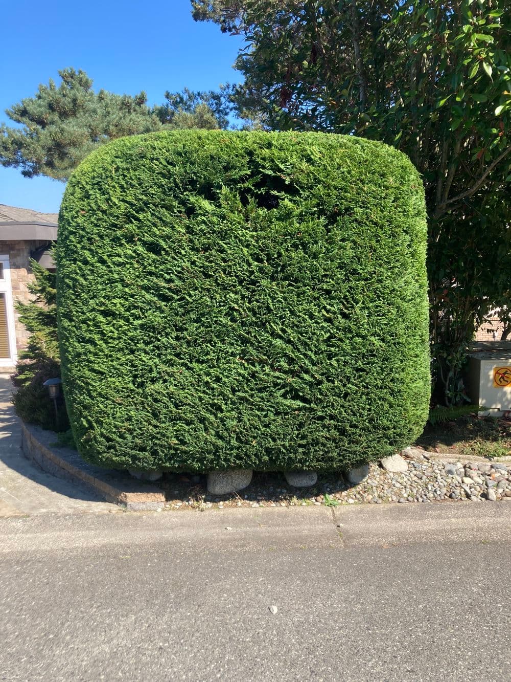 Welcome to The Friendly Gardener